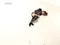 Sample 11