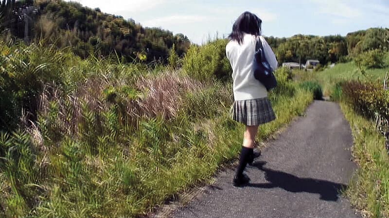 Sample 12
