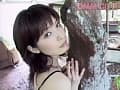 Sample 11