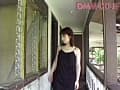 Sample 13