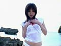 Sample 8