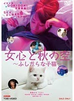 女心と秋の空 ～ふしだらな子猫～