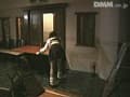 Sample 23
