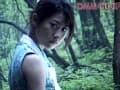 Sample 37