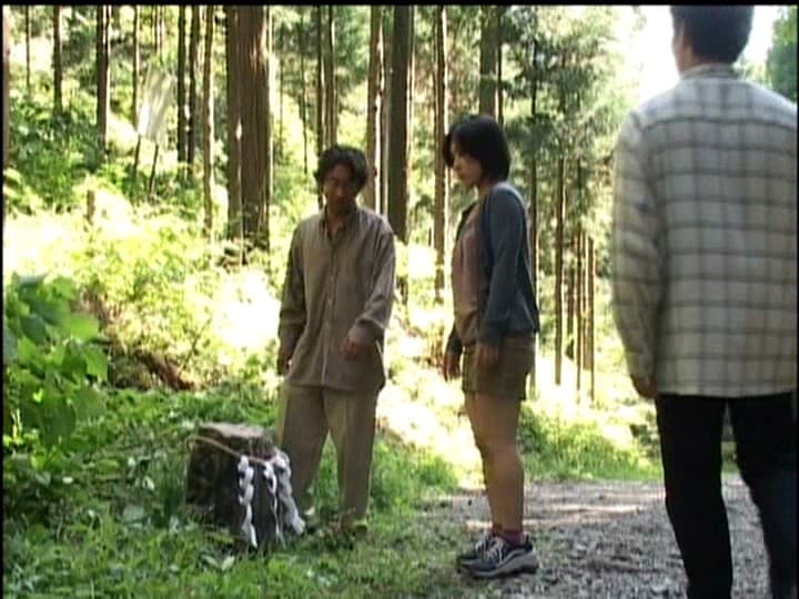 Sample 12