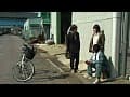 Sample 4