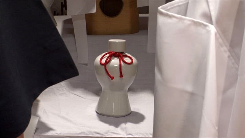 Sample 13