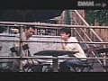 Sample 29