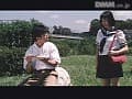 Sample 23