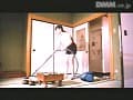Sample 8