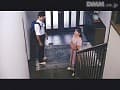 Sample 11