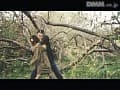 Sample 4