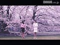 Sample 13