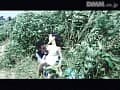 Sample 27