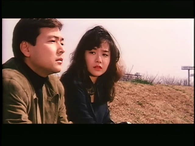 Sample 12