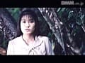 Sample 8