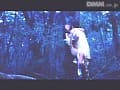 Sample 27