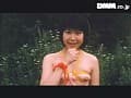 Sample 24