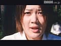 Sample 24