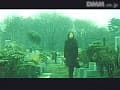 Sample 7