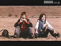 Sample 11