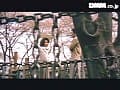 Sample 3