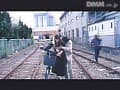 Sample 7