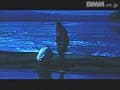 Sample 15