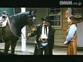 Sample 13