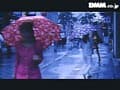 Sample 13