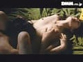 Sample 37
