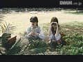 Sample 14