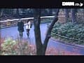 Sample 38