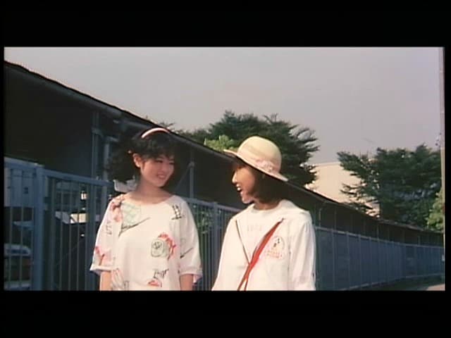 Sample 15