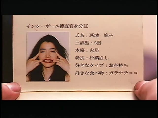 Sample 13