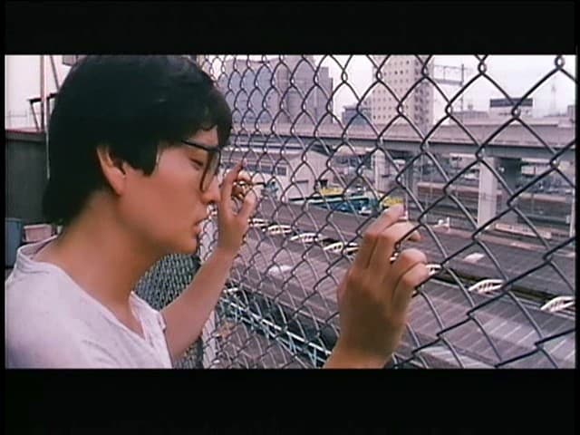 Sample 11