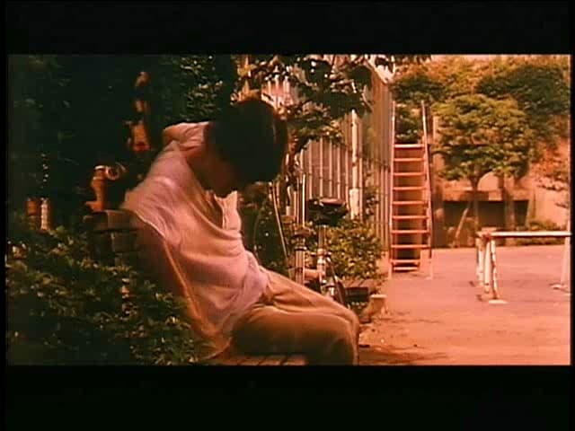 Sample 7