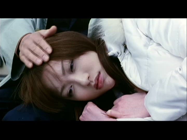 Sample 12