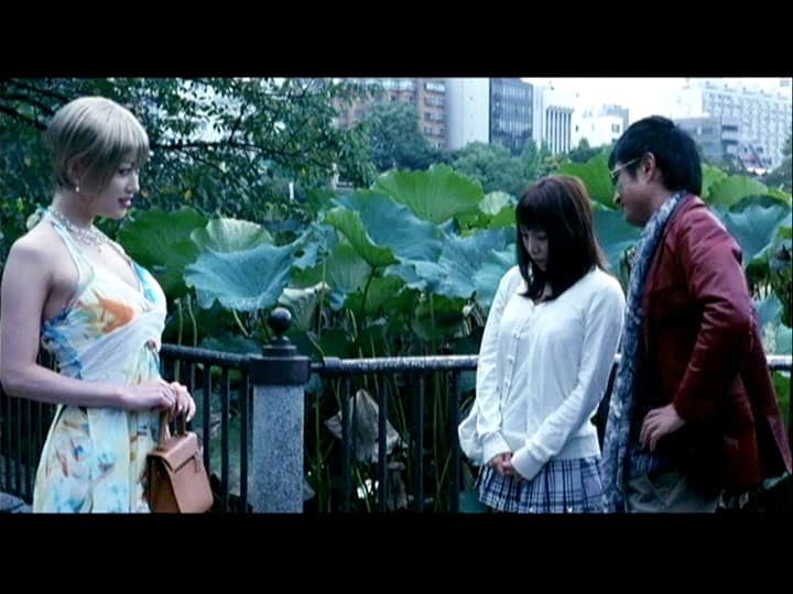 Sample 6
