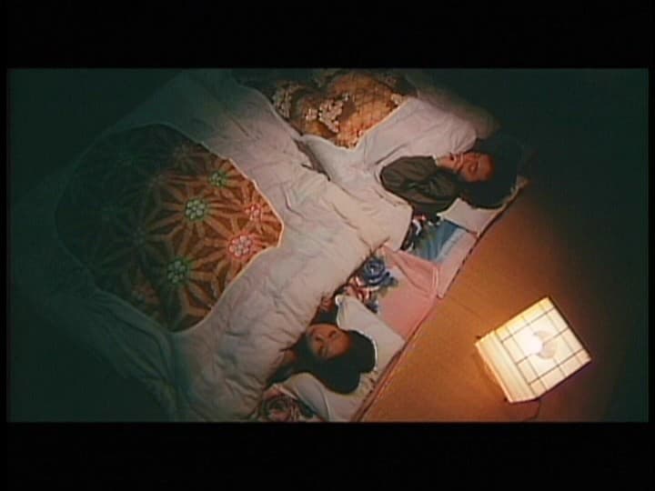 Sample 12