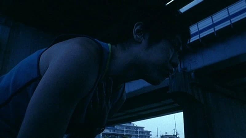 Sample 6