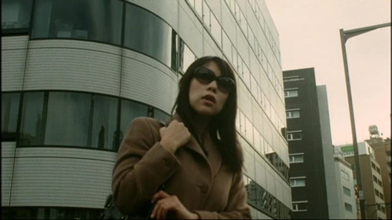 Sample 7