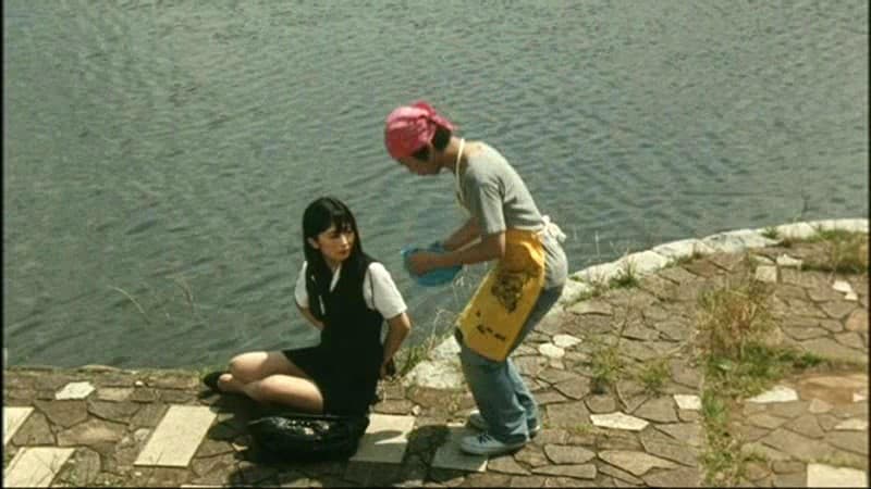 Sample 13