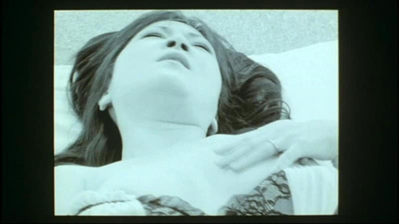 Sample 4