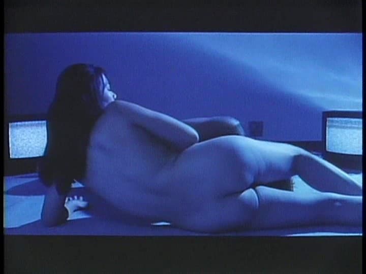 Sample 19