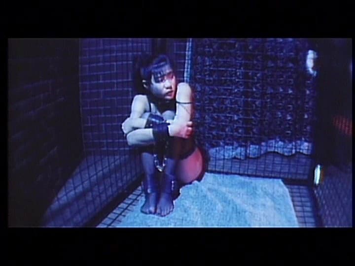 Sample 14