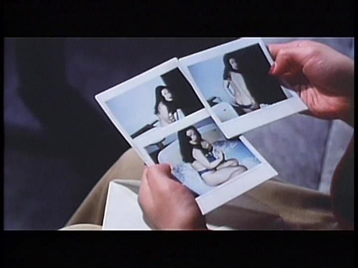 Sample 13