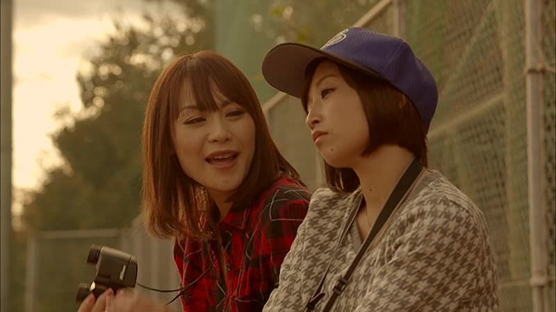 Sample 13