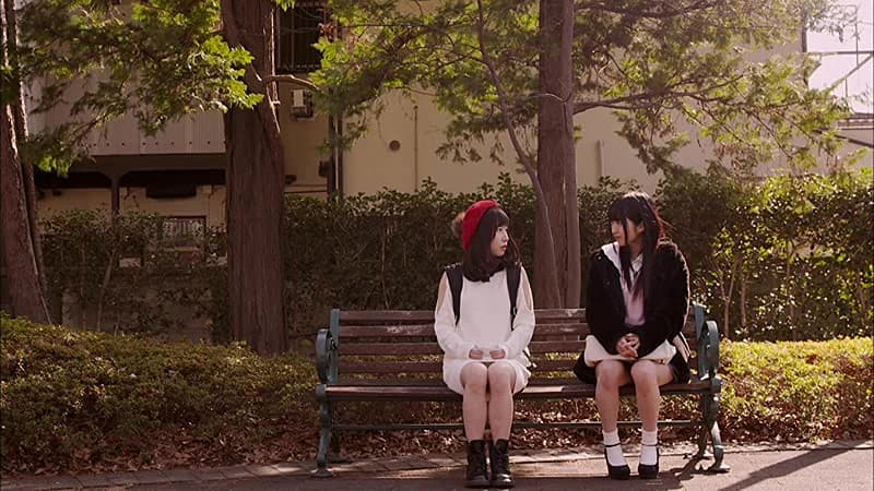 Sample 16