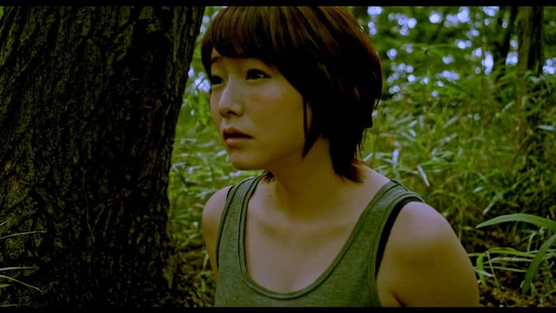 Sample 20